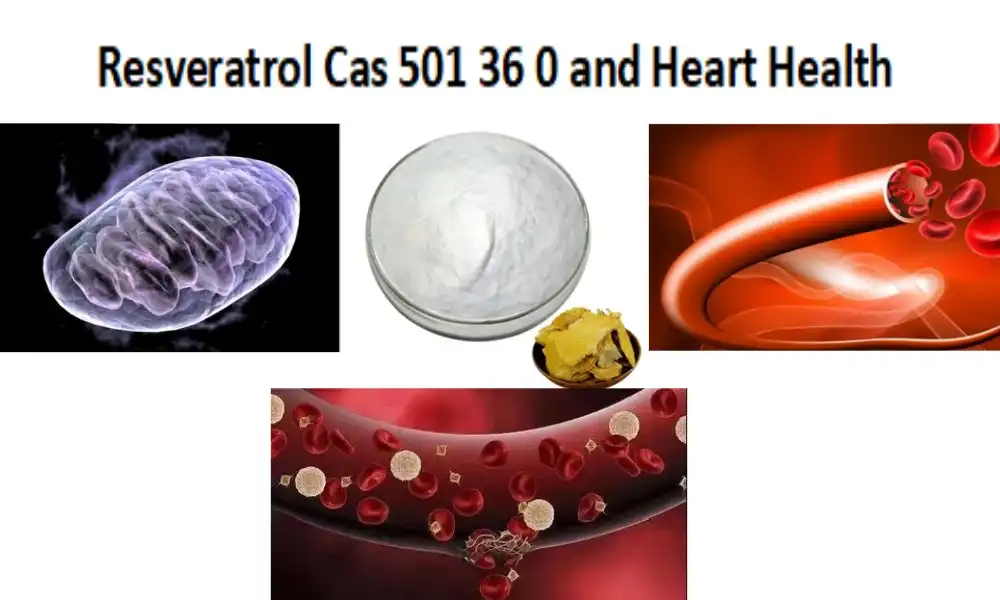 Resveratrol Cas 501 36 0 and Heart Health